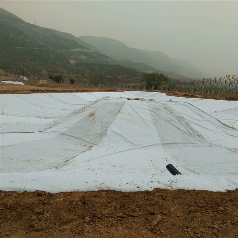 Isolation Reinforced Polyester Filament Geotextile