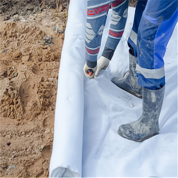 PET Geotextile Application