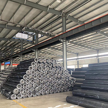 Màng địa kỹ thuật HDPE