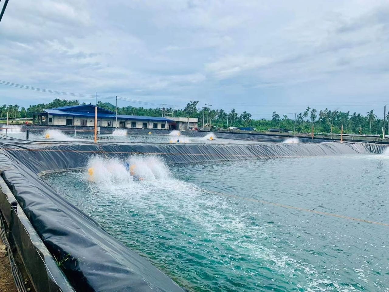 Membran Anti-Rembesan HDPE Khas untuk Kejuruteraan Perlindungan Alam Sekitar