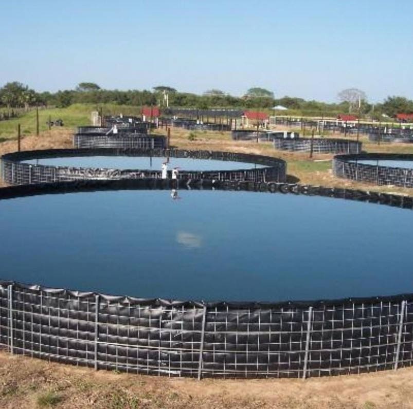 Pelapik Kolam Geomembrane Bahan Plastik Hitam