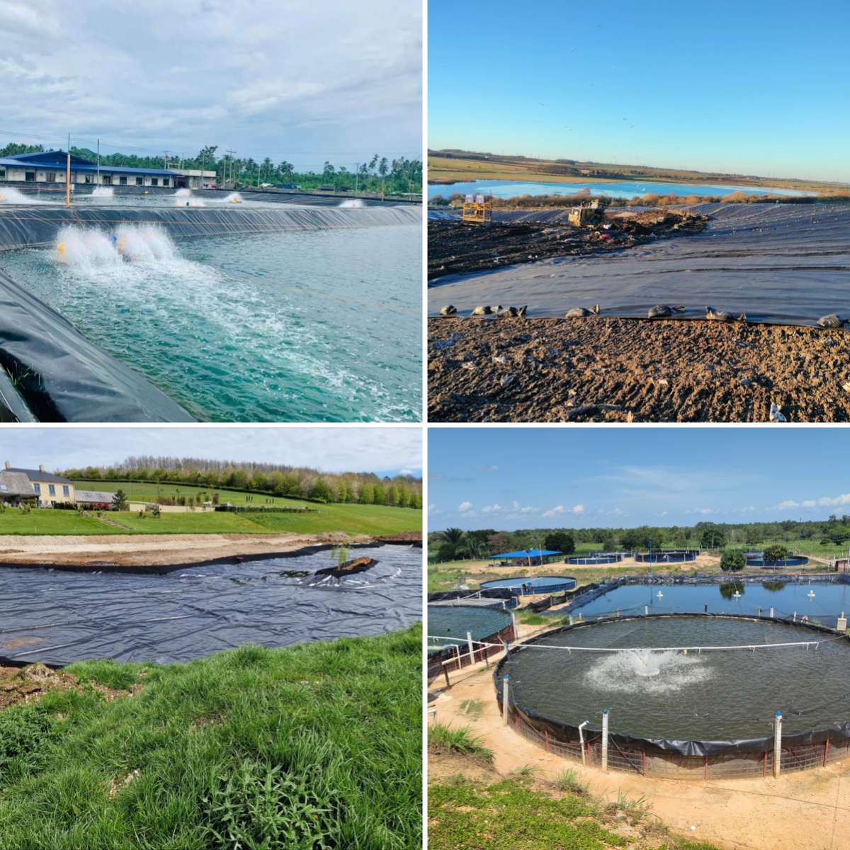 HDPE Geomembrane