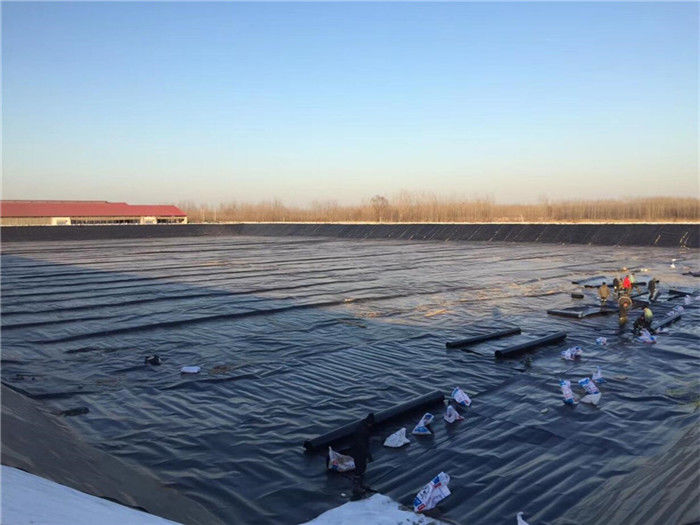 Geomembrane ผิวเรียบ HDPE 2 มม