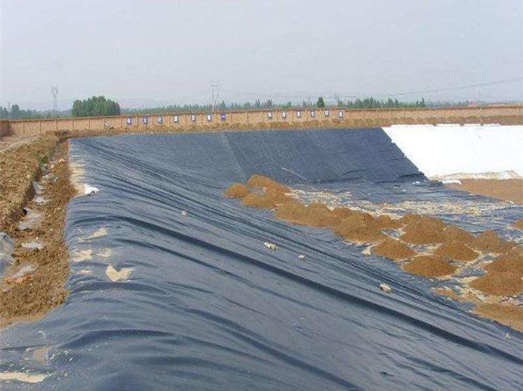 Dam anti-seepage HDPE plastic liner